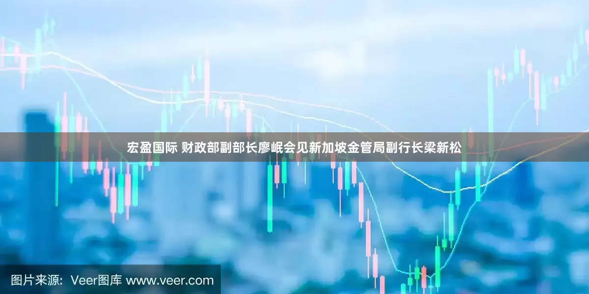 宏盈国际 财政部副部长廖岷会见新加坡金管局副行长梁新松